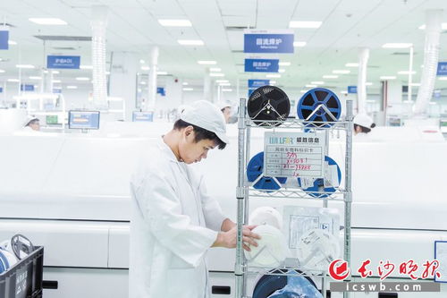 長沙大步邁向中國軟件名城 軟件和信息技術(shù)服務(wù)新篇章